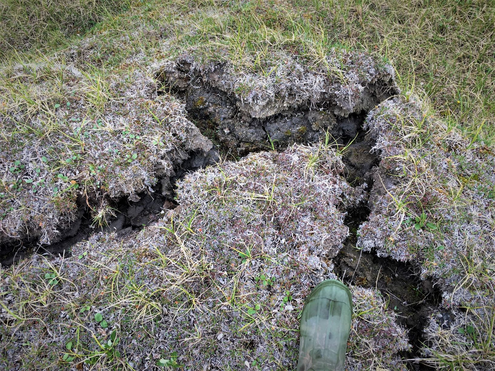 Photograph of cracks form in tundra soils as the surrounding ground collapses due to melting of underlying ice wedges