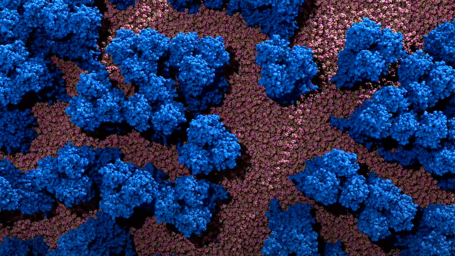 Simulation of the flu virus in clumps and cells of blue