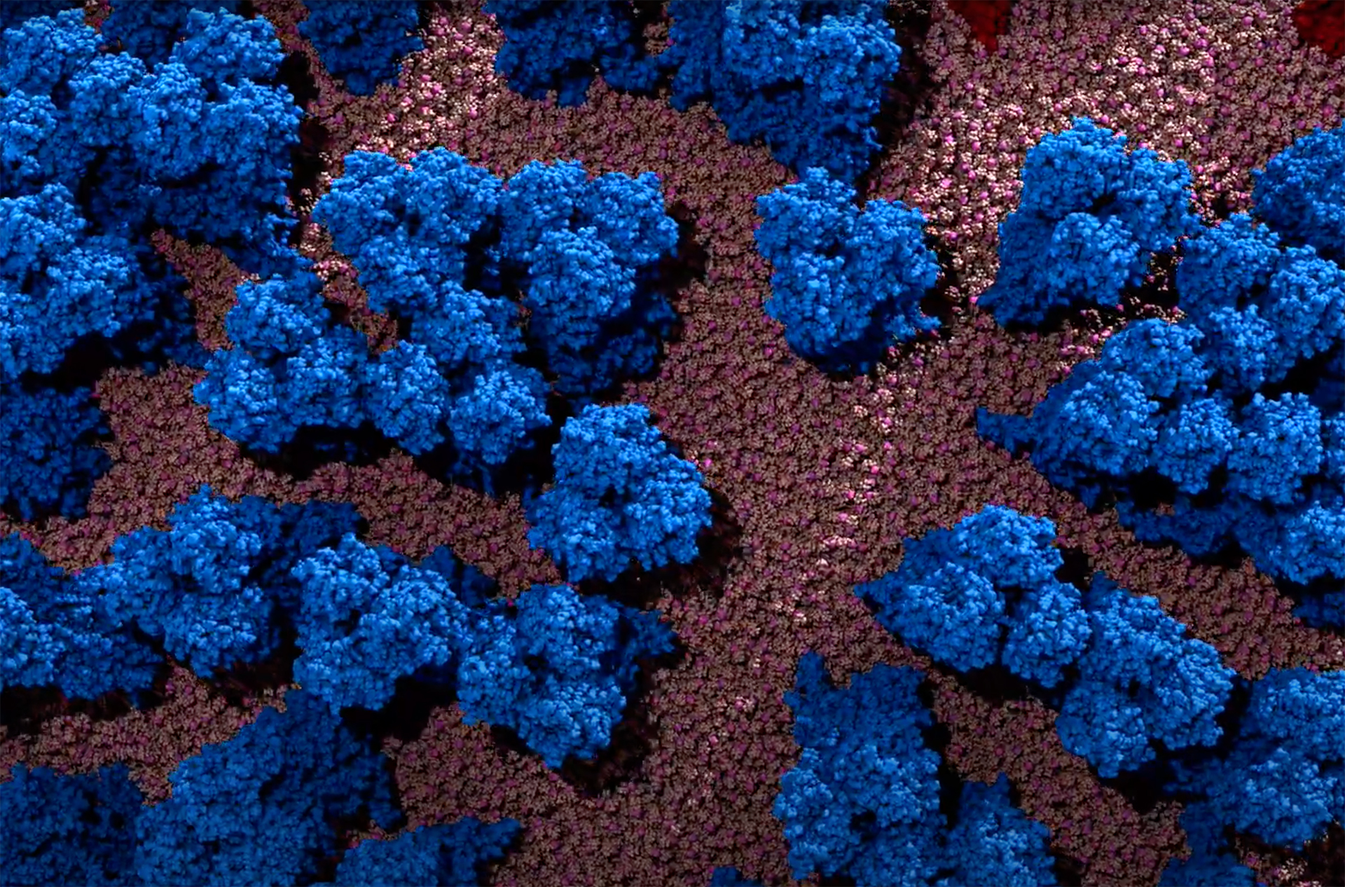 Simulation of the flu virus in clumps and cells of blue