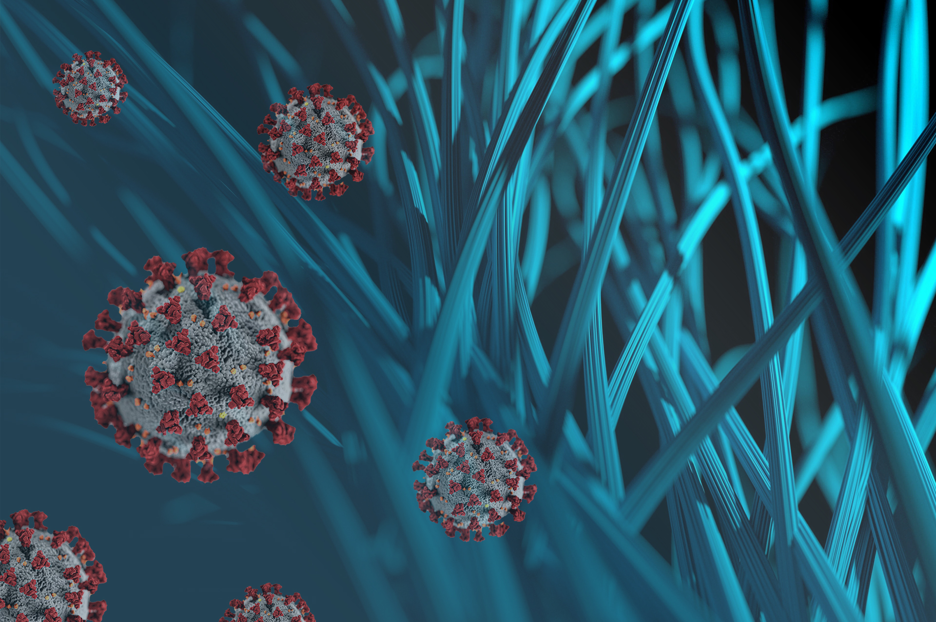 Artistic styling of COVID-19 virus cells on computer networking cables in blue