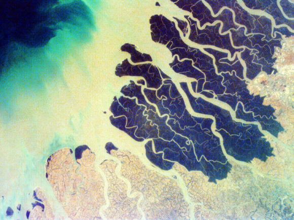 Stylized aerial photograph of Earth's rivers and bodies of water in pale yellow with dark blue masses indicating land
