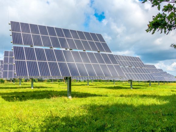 Outdoor photograph of solar panels in a green and grassy field