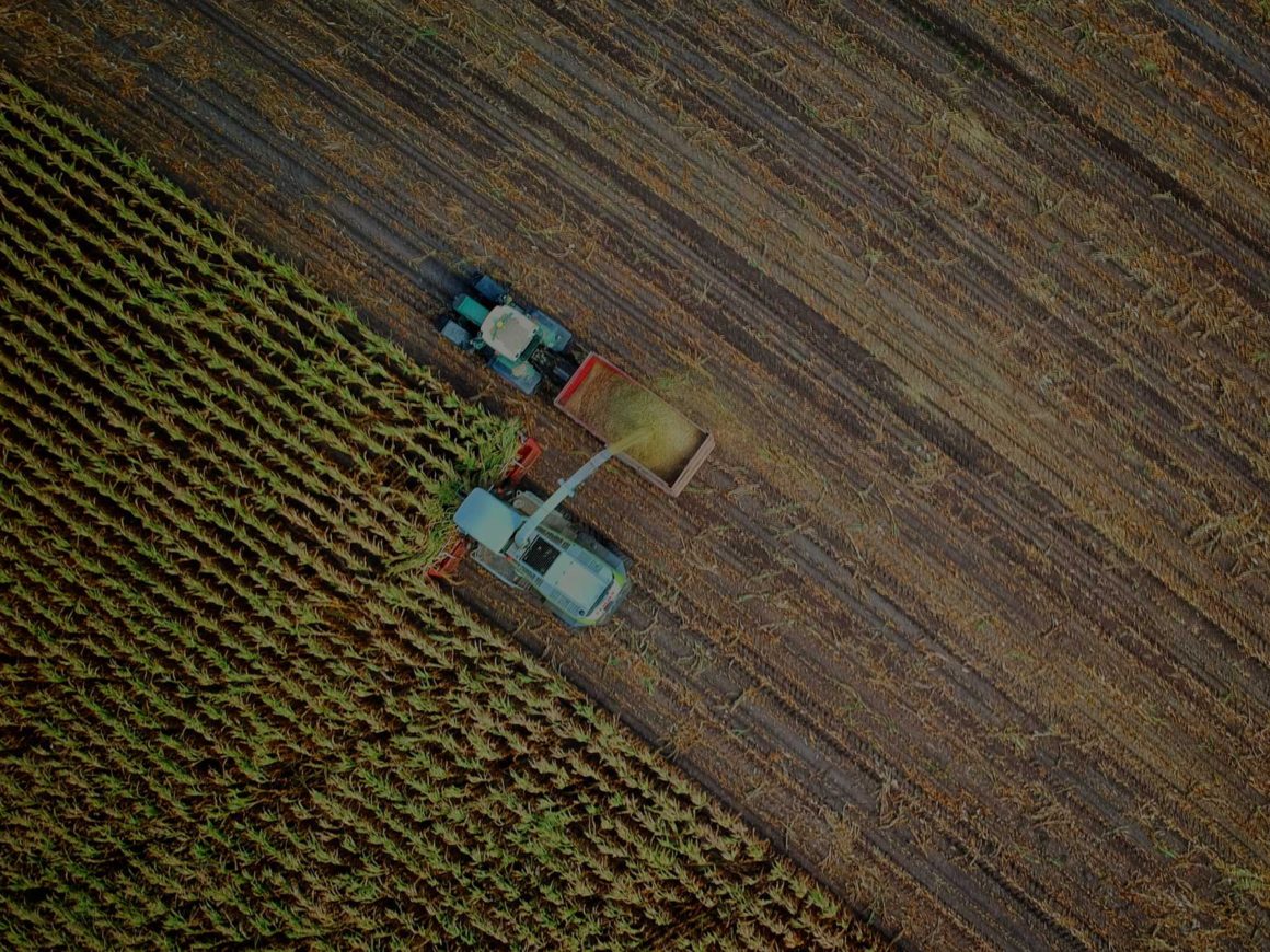 Aerial photograph of a harvest on a crop farm where one equipment vehicle can be seen cutting and transferring the harvested crop to a receptacle vehicle