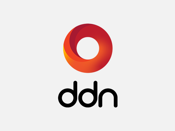 Data Direct Networks (DDN) logo