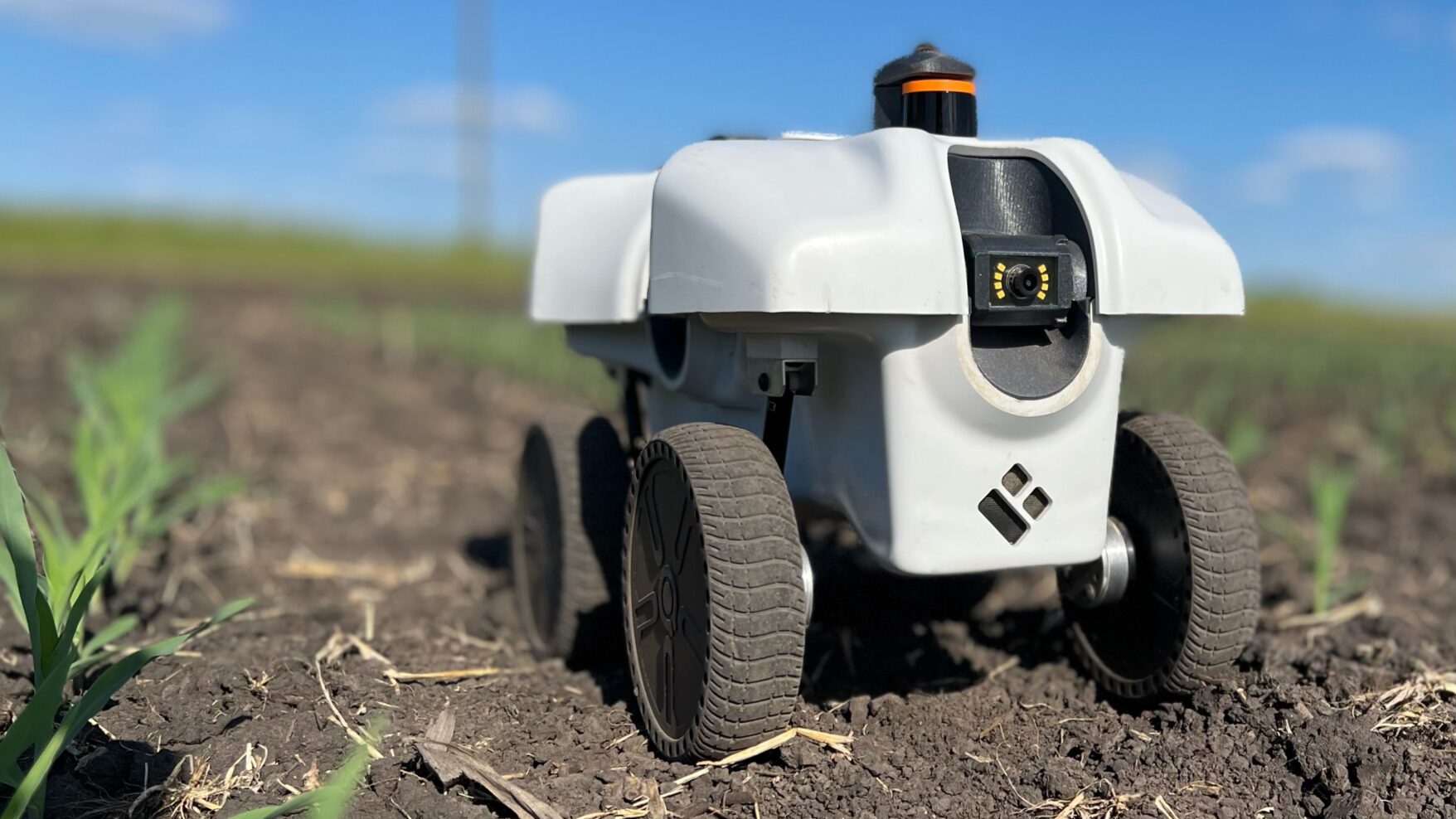 An image of a TerraSentia robot in a crop plot.