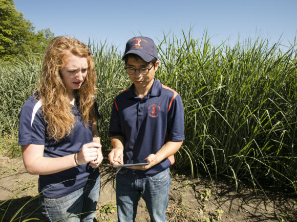 A photograph of two people wearing University of Illinois branded shirts standing next to a green cornfield holding and looking down at tablet.