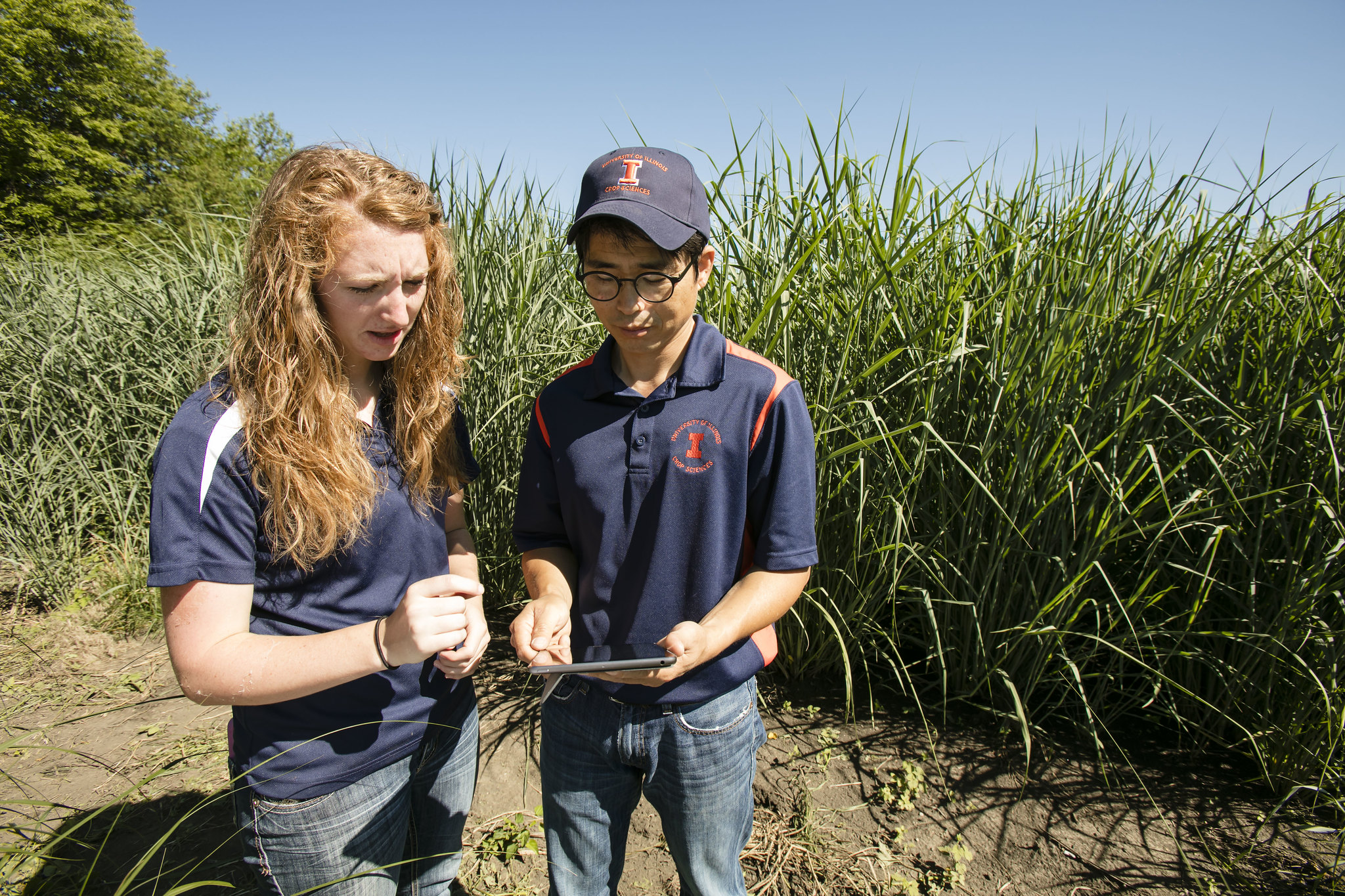 A photograph of two people wearing University of Illinois branded shirts standing next to a green cornfield holding and looking down at tablet.
