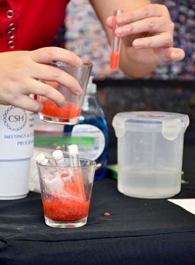 The genomics exhibit showed visitors how to separate out strawberry DNA using household goods