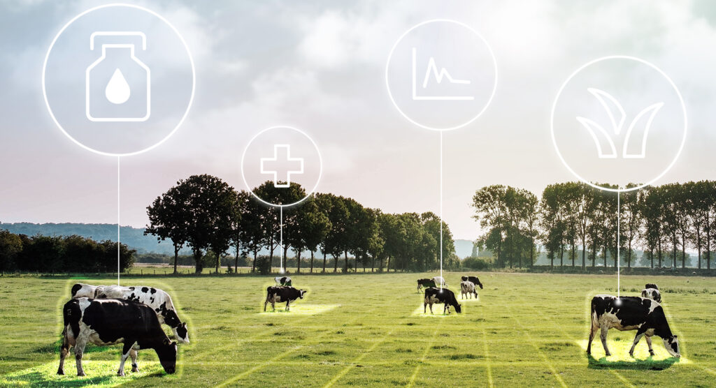 An image of cows grazing in a field, with data overlaid indicating the status of the cows (needing food, to be milked, etc.) This is meant to convey smart agriculture.