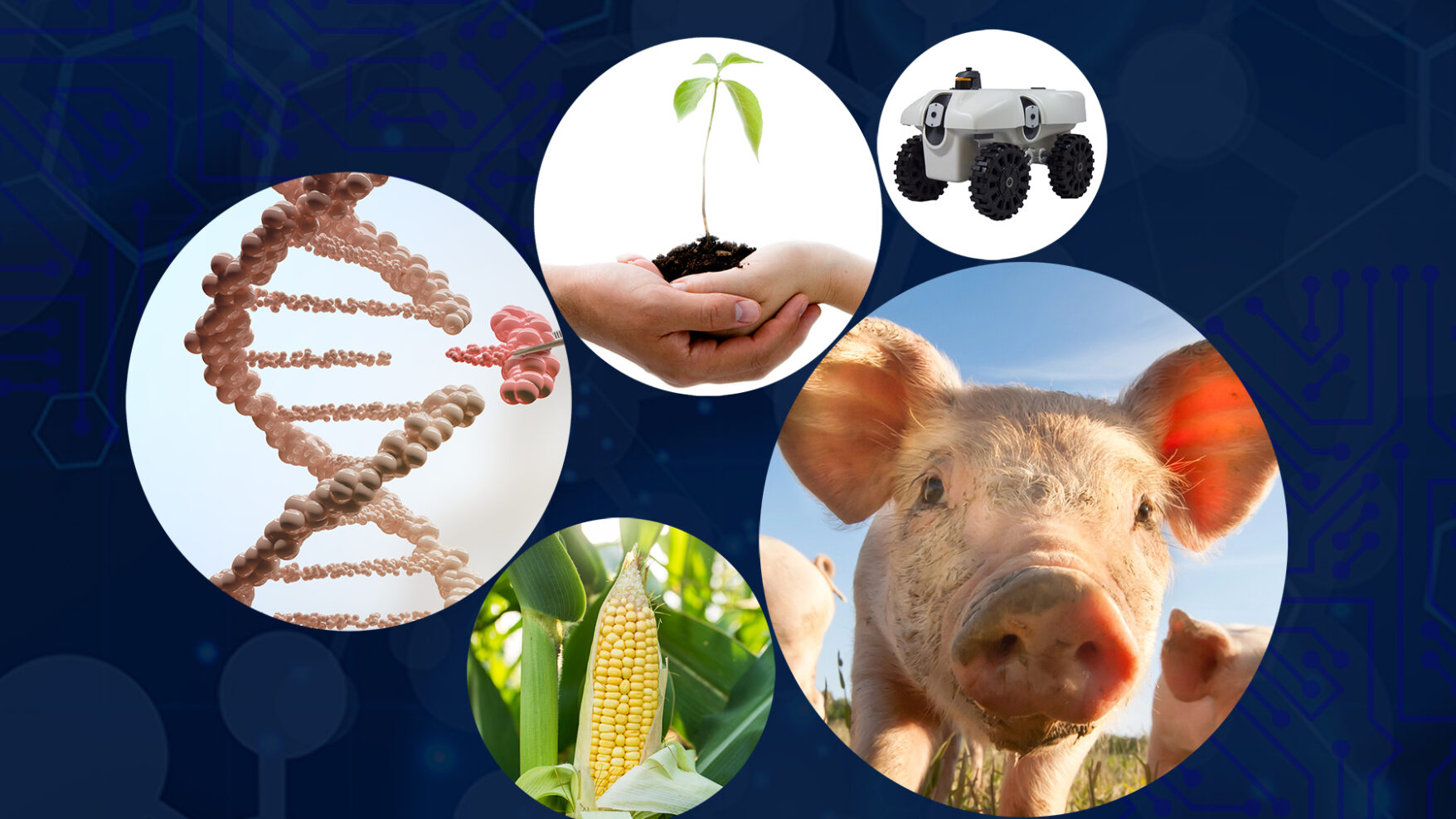 Multiple circles, each with a different aspect of CDA are clustered together on top of a blue textured background. The circles include a pig, some corn, a farming robot, hands holding a plant and a DNA strand being manipulated.