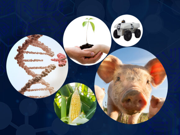 Multiple circles, each with a different aspect of CDA are clustered together on top of a blue textured background. The circles include a pig, some corn, a farming robot, hands holding a plant and a DNA strand being manipulated.