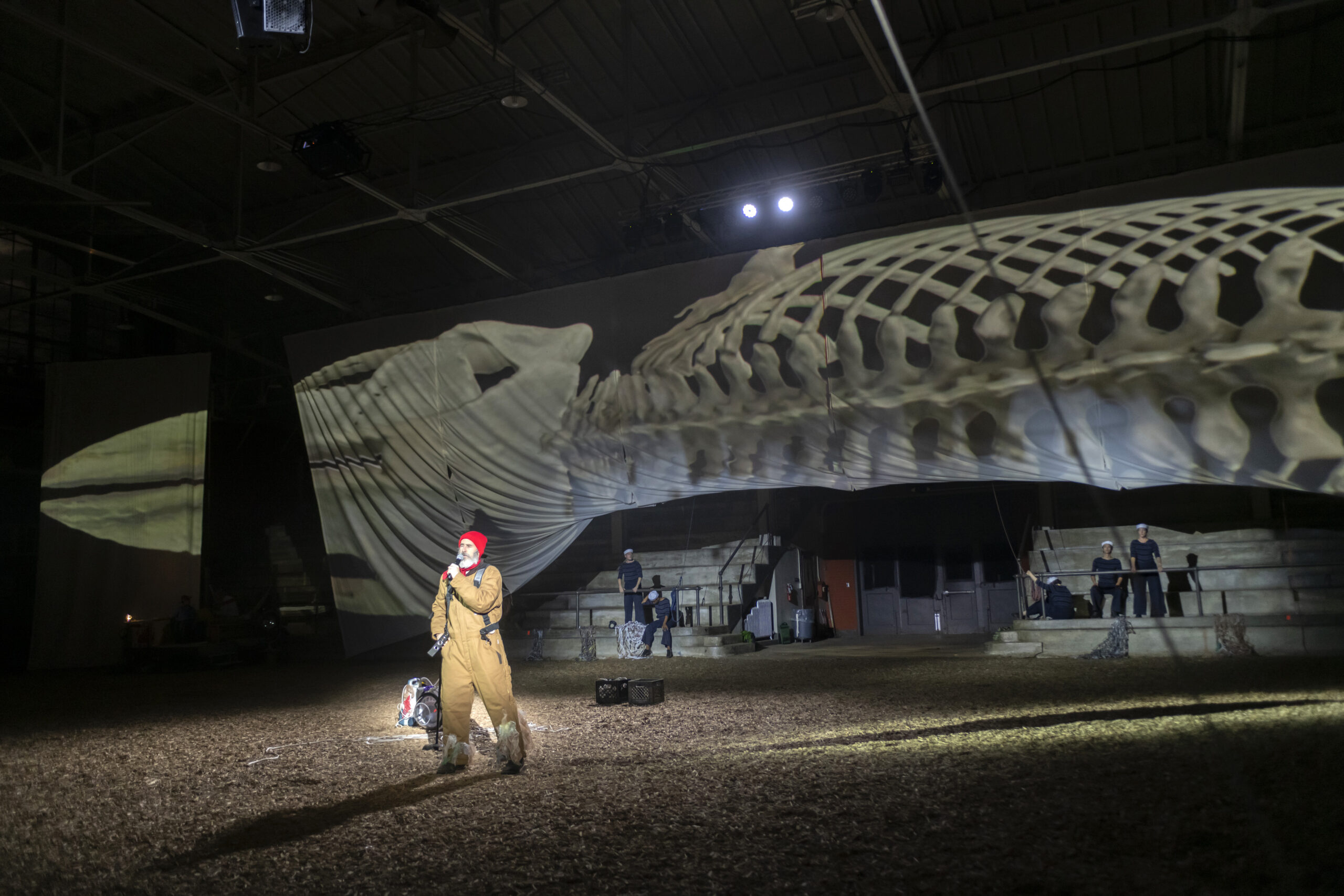 Photo by University of Illinois Senior Photographer Fred Zwicky from the ‘CETACEAN’ performance.
