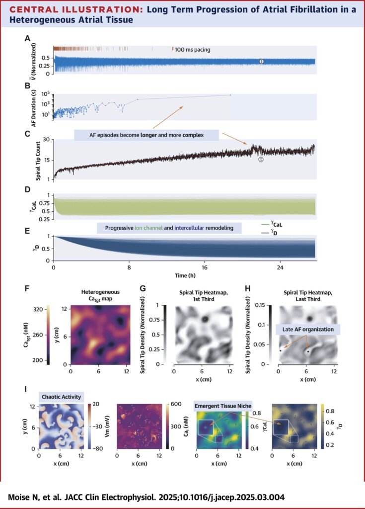 A visual representation of data from the linked paper.
