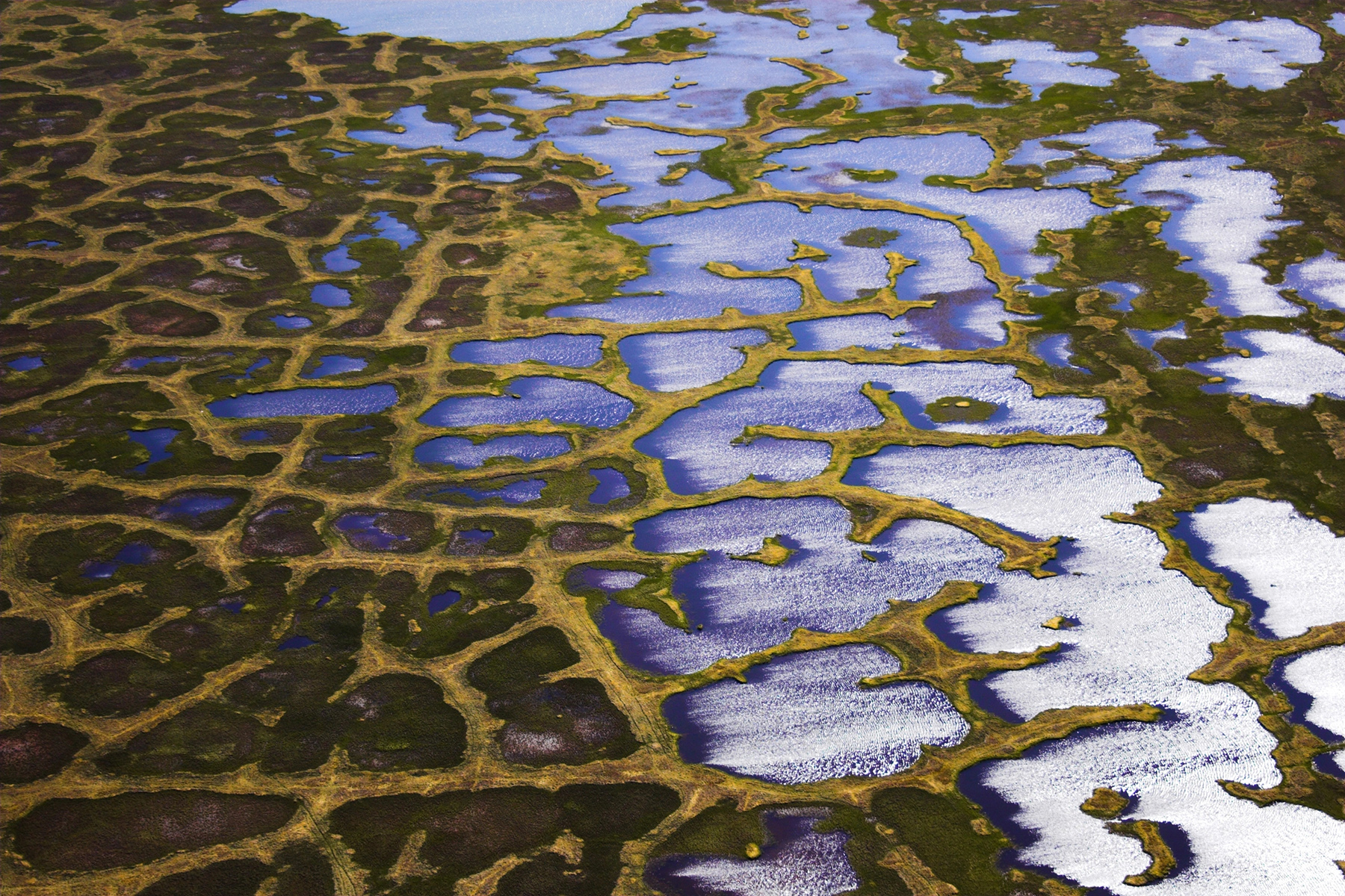 An aerial photo of the Arctic Tundra wetlands. In this photo, half of the wetlands are covered in snow.