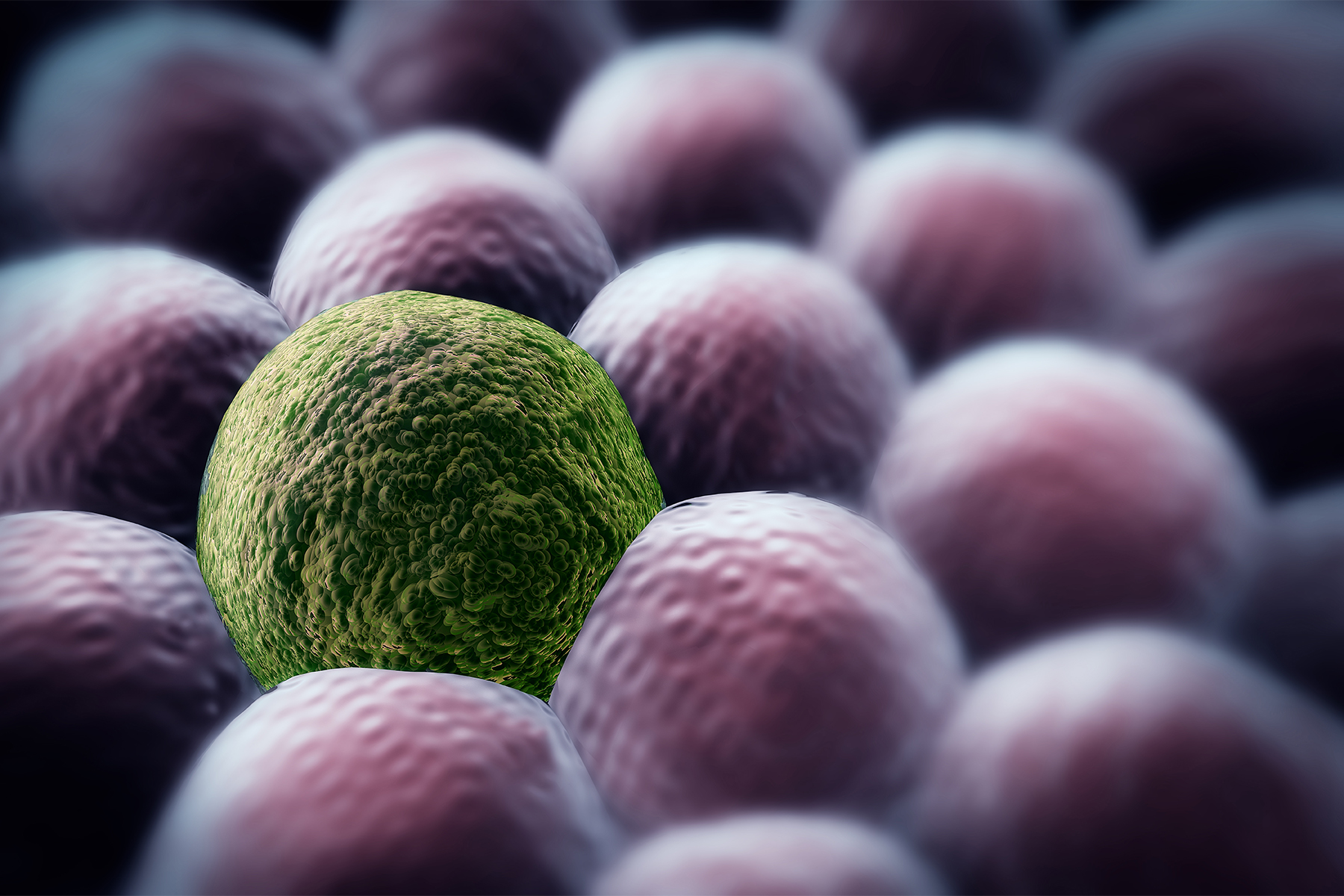 A computer generated image if a cancer cell, highlighted in yellow, among normal cells, colored in pink.