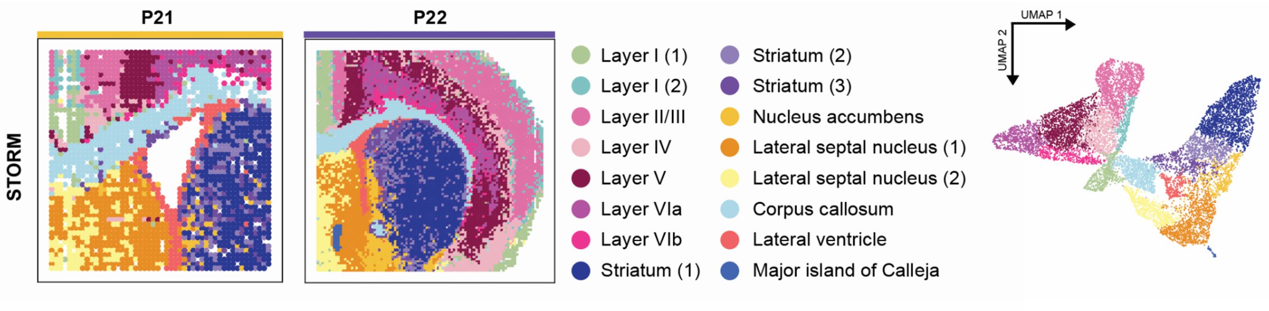 A visualization of the science discussed in this article.