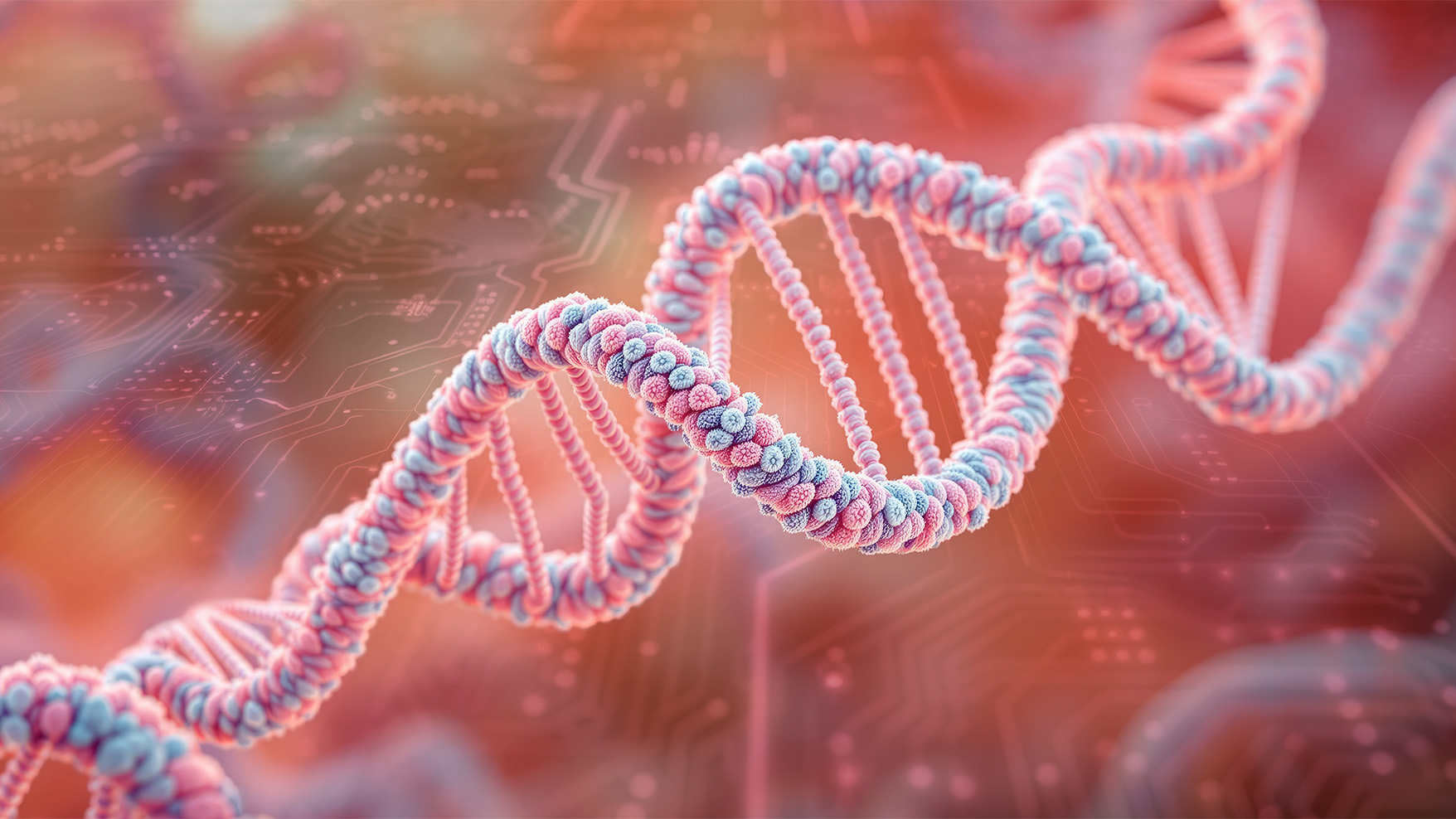 A DNA strand overlaid on a circuit board.